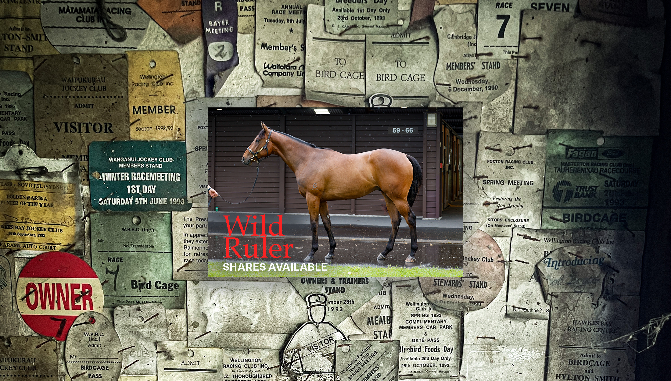 Homepage Wild Ruler 2