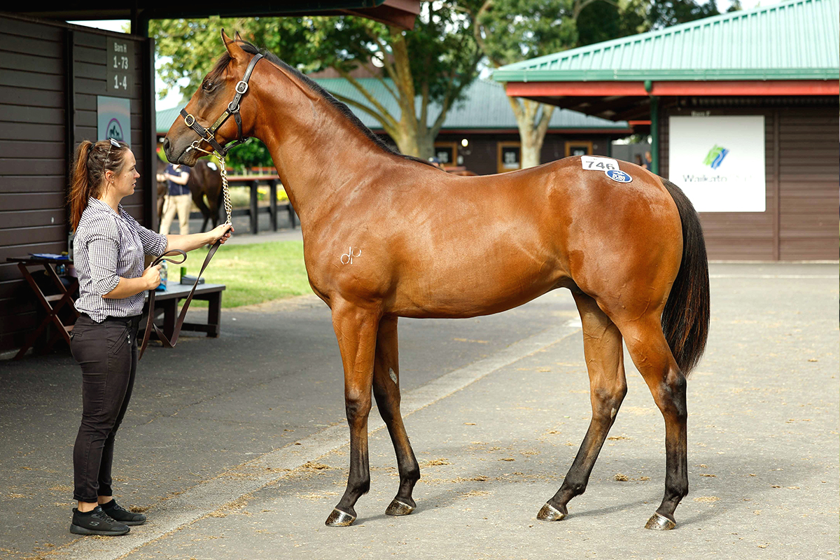 Bivouac Colt 1 1200x800