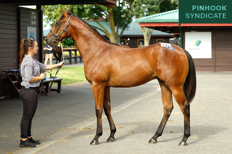 Bivouac Website Mini 1