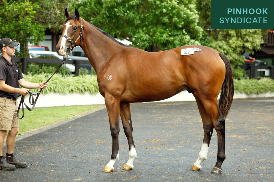 Dundeel Website Mini 1