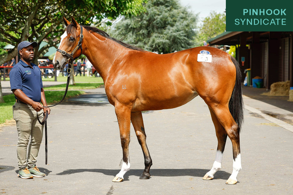 Maurice Website Mini 1