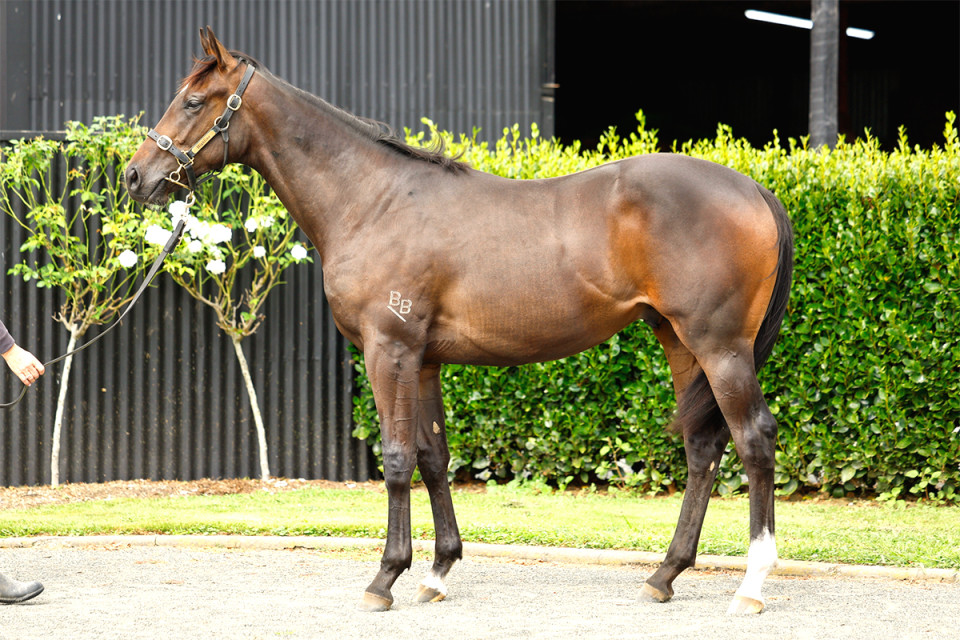 Yes Yes Yes Website Photo 1200x800 2